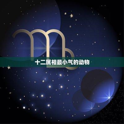 十二生肖哪个最小气 特别小气说的是哪几个生肖
