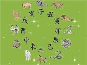 十二生肖哪几种最好婚姻配对 哪几对生肖配对幸福