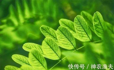 十二生肖哪只最多愁善感 心态不好的生肖