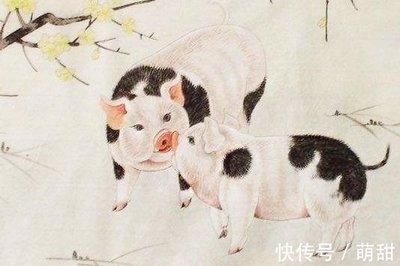 十二生肖天真烂漫 永远都能保持童心