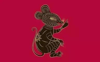 十二生肖实力排行榜  什么生肖有实力