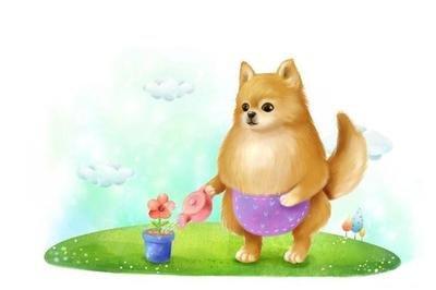 十二生肖属狗的几月生好 什么月份出生的属狗人好