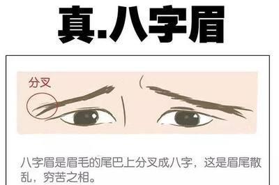 八字眉的女人命运如何 女人长有八字眉是什么意思