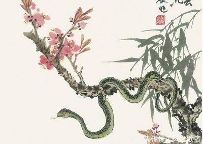 十二生肖属蛇正月出生好吗 几月份出生的属蛇人命好