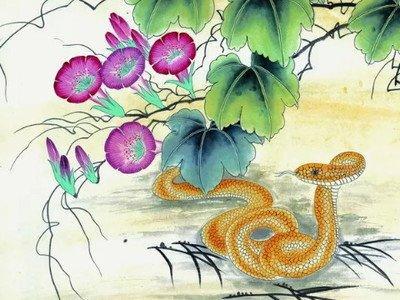 十二生肖属蛇正月出生好吗 几月份出生的属蛇人命好