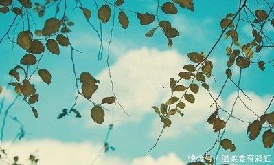 十二生肖最忠诚的生肖 对爱人忠心耿耿