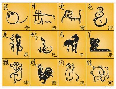 十二生肖最有魅力的生肖 很有魅力的生肖