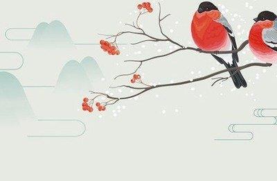 十二生肖最苦命的生肖是什么生肖一生坎坷