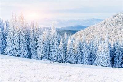 做梦梦见雨夹雪是否是财运下滑的征兆