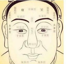 各种抬头纹面相图解 带你了解抬头纹面相