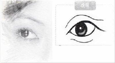 各种眼型与性格的关系 看眼型知道性格如何