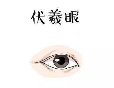 各种眼型分类图解大全 眼型面相最全分析
