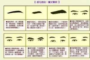 各种类型眉毛看相图解 什么眉毛面相的男人命好