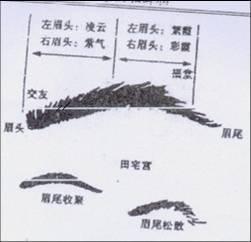 各种类型眉毛看相图解 什么眉毛面相的男人命好