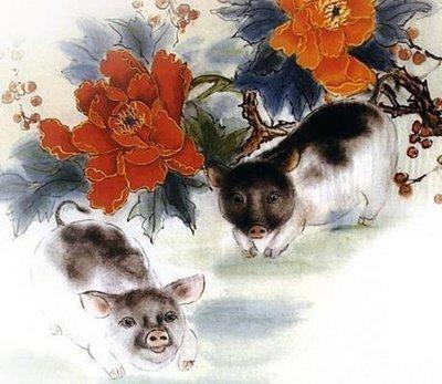 十二生肖猪养什么最旺运 什么花适合属猪人养