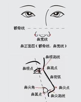 各种类型眉毛看相图解 看眉毛面相了解命运