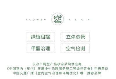 合理利用绿色植物 可强化办公室风水