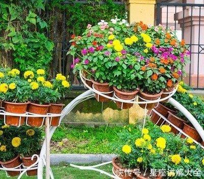 吉星庇佑 生活安逸 有机会赚取意外之财的生肖