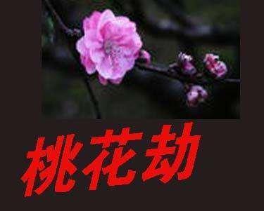 八字看桃花劫 命中注定遇到桃花劫的人