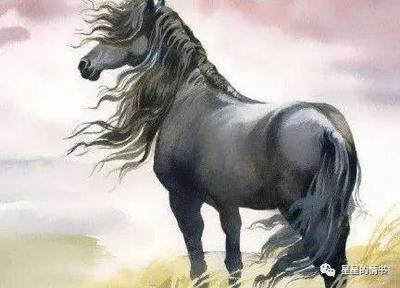 十二生肖老虎的冤家 属虎人与什么生肖不配