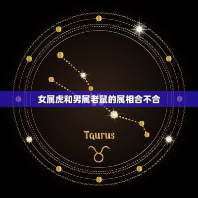 十二生肖老鼠和什么好 属鼠人与什么生肖配对好
