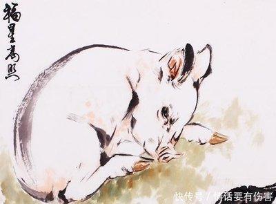 十二生肖谁最福大命大 什么生肖最有福气
