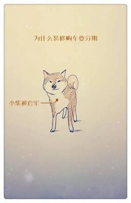 十二生肖谁的套路最深 看看其中有没有你