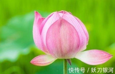 后半生享福的生肖女有哪些 晚年幸福到爆