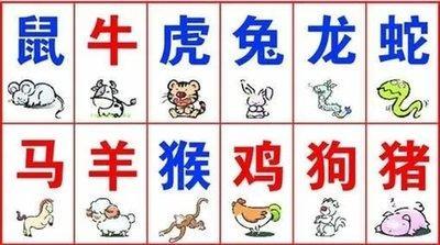 十二生肖鸡养什么最旺运 什么植物适合属鸡人养