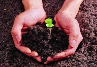 告诉你五行缺土怎么办 这几种方法可以拯救你