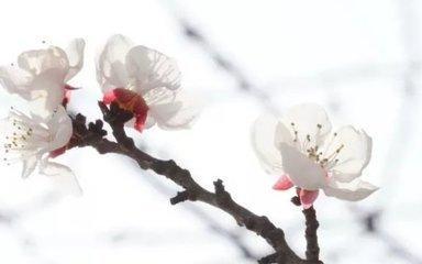 八字能看出有几个孩子 你命中有没有孩子