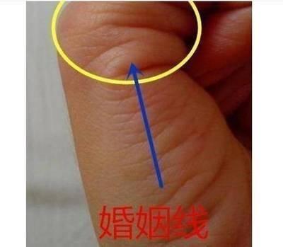 告诉你在生活中哪些手相的人擅于经商 告诉你在生活中哪些手相的人擅于经商