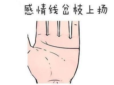 告诉你手相可以看一个人的智商的高低