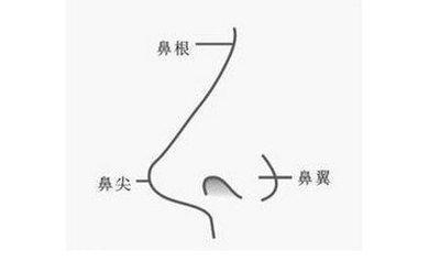 告诉你男人鼻梁和鼻尖有痣暗示着什么含义