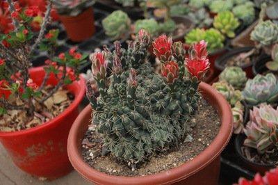 八招打造家居客厅好风水 抵御家庭的多种问题