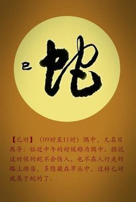 午时是什么生肖，十二生肖中的午时是什么时候