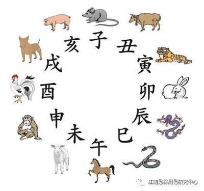 午时是什么生肖，十二生肖中的午时是什么时候
