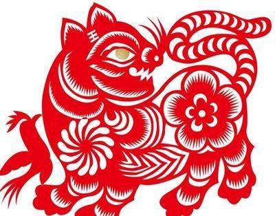 几月份虎宝宝命运最好 哪几个月份出生的属虎人好