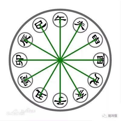 几月的属龙不适合养狗 为什么不适合 几月的属龙不适合养狗 为什么不适合