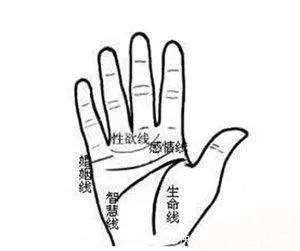 几种婚姻家庭不幸的手相难白头到老