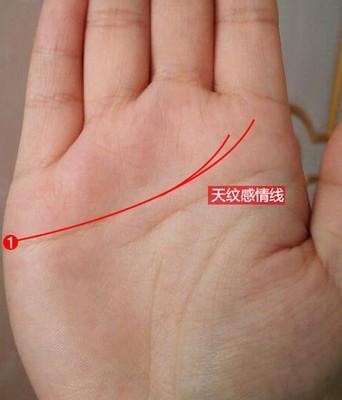 几种男人两段婚姻的手相 注定二婚的男人手相