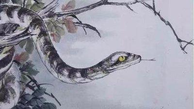 凡能成大事者是什么生肖 成大事者说的是什么生肖