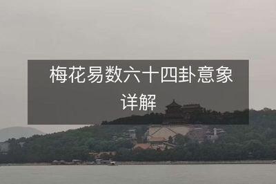 周易梅花数之六十四卦意象全解（下）