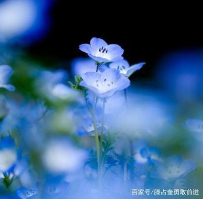 双子女对什么类型的男生倾心 谁能得到双子女的心