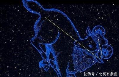 凯利·福克斯2025年6月白羊座运势
