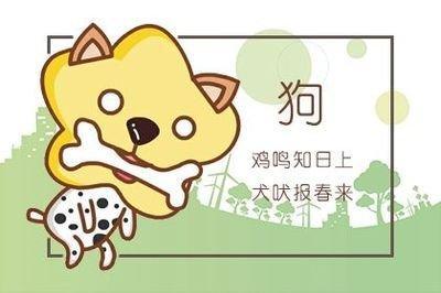 出生1982年是什么命 命运好不好
