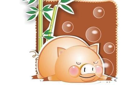 出生于1971年的属猪人2025年运势好吗