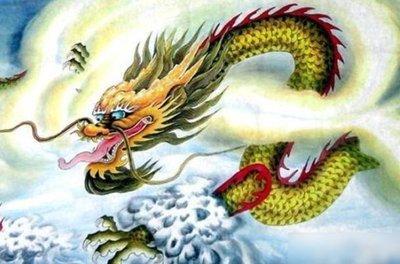 出生于1976年的人生肖属相如何