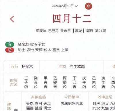 出生于1976年的属龙人2025年运势好吗