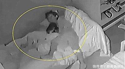 卧室内有这些东西 晚上睡觉容易做噩梦